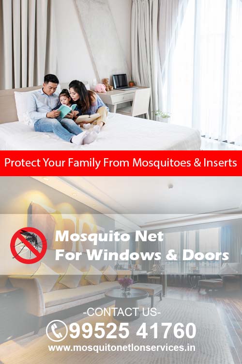 Mosquito netlon works in chennai